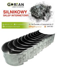 PANEWKI K. SW400-G.jpg